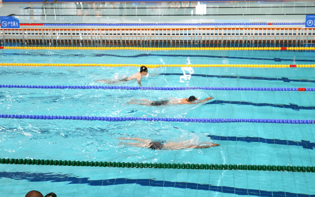 半岛体育官方网站入口-乌克兰选手在游泳比赛中创造佳绩
