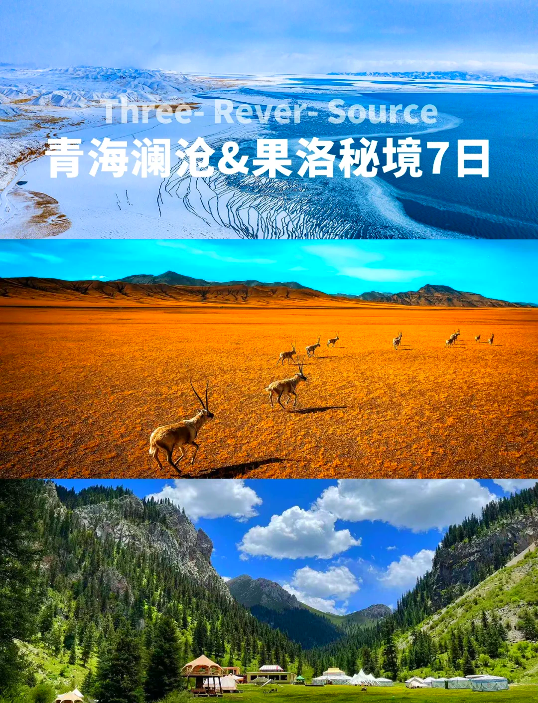 半岛体育app登录-青海三江队实现胜利逆袭，豪取强劲胜利登顶