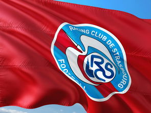 半岛体育app-帕尔梅拉斯球员积极备战，誓夺更好名次